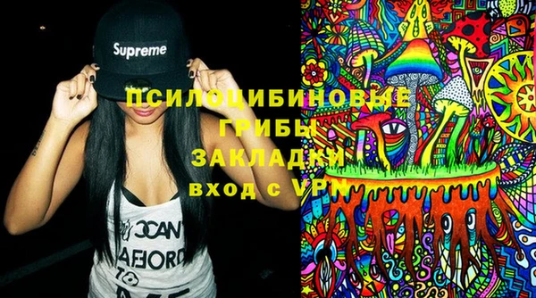 мдпв Володарск