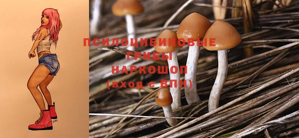 мдпв Володарск