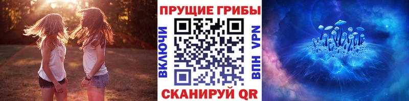 hydra ссылки  Иваново  Псилоцибиновые грибы MAGIC MUSHROOMS 